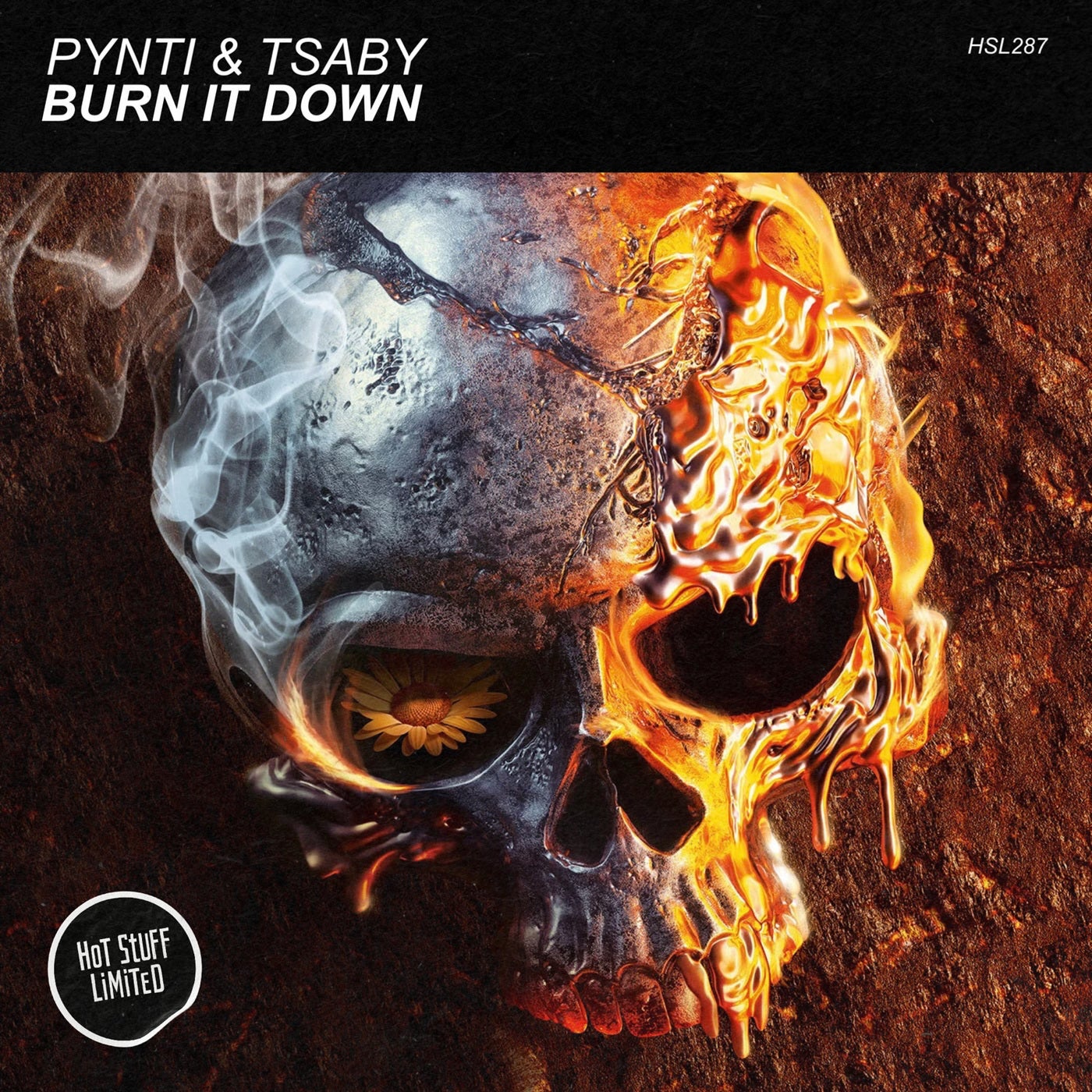 Burn It Down (Original Mix)