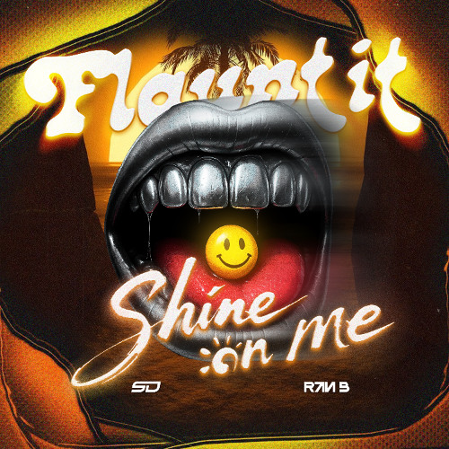 Shine on me - Ran B x SD (Remix)