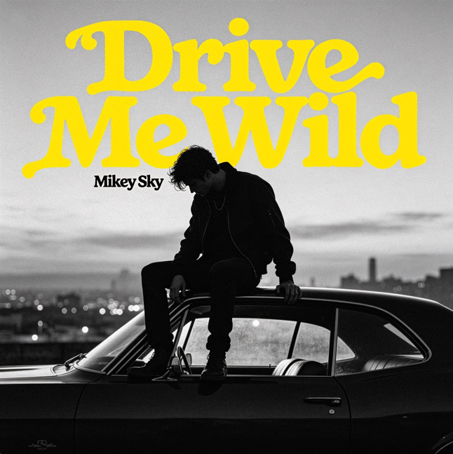 Mikey Sky - Drive Me Wild (Extended Mix)