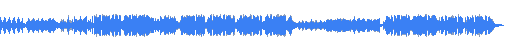 Anh Bang - Anzi x Disastrack 波形图 - DJGavin