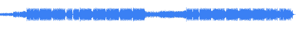 宠坏 (Nuong Chieu Den Hu Hong) (Future feat. Nkim Sdie Remix) 波形图 - Future Da Producer